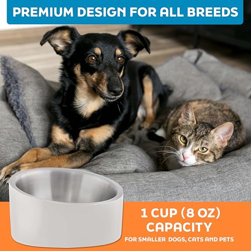 Master Pet Supply Stainless Steel Slanted Dog Cat Food Bowl - 8 oz Heavy Duty - Bone White, Double Wall Insulated, Non-Slip Elevated Bowl for French Bulldogs Pugs Cats, Anti Rust Dishwasher Safe - color: Bone White, size: 1 Cup (8 oz)