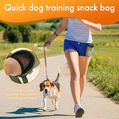 Portable Dog Treat Pouch for Training - Outdoor Waist Pack with Medium-Stiff Polyester, Leash Clip & Zippered Pocket for Pet Treats/Rewards (Grey)