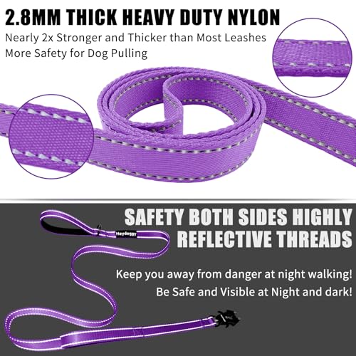 Strong Heavy Duty Dog Leash - 5ft Reflective Nylon Training Leash with Soft Padded Double Handle & Auto Lock Frog Clip, Safety Traffic Control for Large Medium Small Dogs No Pull Walking Purple,5ft - color: Purple, size: 5FT x 1" x 2.8MM