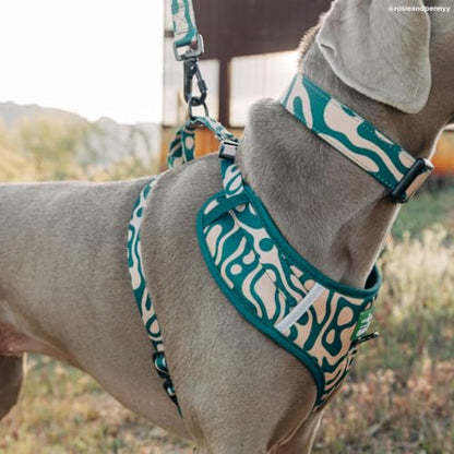 Lucy & Co. x Parks Project Geyser No-Pull Dog Harness, Adjustable Front Clip Harness with Comfort Padding, X-Large - color: Geyser, size: X-Large
