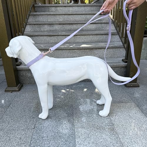 Dog Leash 6ft Long,Traffic Padded Two Handle,Heavy Duty,Double Handles Lead for Control Safety Training,Leashes for Large Dogs or Medium Dogs,Dual Handles Leads (Purple, 25MM*6FT) - color: Purple