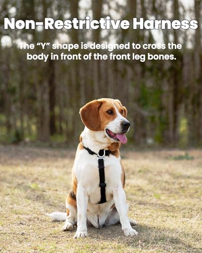 Non-Restrictive Dog Harness, Easy Walk Freedom No Pull Harness, Keep Balance, Neck-Buckle, Six Points Adjustment, 2 Leash Clips for Back and Front Clip (Red/Black, X-Small) - color: Red/Black, size: XS