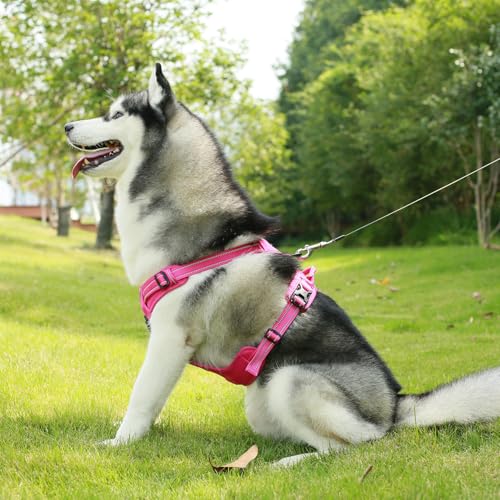 Voyager Dog Harness Dual Leash Attachment No-Pull Control Adjustable Soft but Strong Pet Harness for Medium and Large Dogs with 3M Reflective Technology, Fuchsia Nylon, M (Chest: 20-25") - color: Fuchsia Nylon, size: M (Chest: 20 - 25")