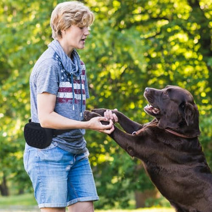 SUPVOX Dog Treat Pouch,2.0-Upgrade Stronger Magnetic Closure to Avoid Spilling, Silicone Treat Bag Fanny Pack with Waist Belt for Pet Training Walking (Black)