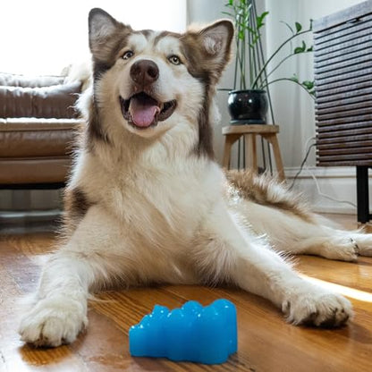 Outward Hound Gummiez Bear Dog Toy & Treat Stuffer, 4.7″ x 3″ Blue Raspberry-Scent Interactive Chew for Dogs, Promote Healthy Teeth, Gums & Mental Enrichment, Reduce Boredom & Support Dental Health - color: Bear