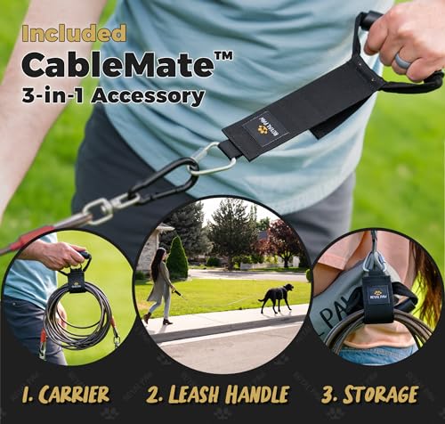 ROYAL PAW Dog Tie Out Cable and Stake 30ft - for Large Dogs up to 300 lbs - Heavy Duty Tether and Dog Stake for Yard, Beach & Camping Outside (Black, L/XL - 30ft) - size: L/XL - 30ft