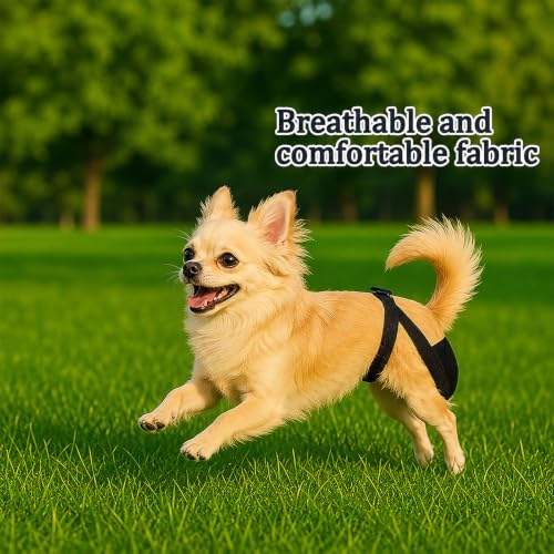 2 Pack Dog Nappies Female and Male with 30 Detachable Absorbent Pads, Reusable Belly Bands for Dogs, Breathable Mesh Dog Diapers Incontinence, Excitable Urination or Heat, (Blue&Black,S) - size: S