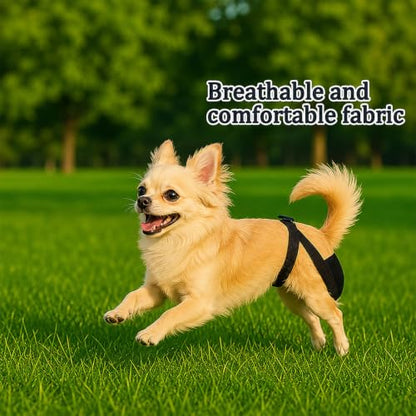 2 Pack Dog Nappies Female and Male with 30 Detachable Absorbent Pads, Reusable Belly Bands for Dogs, Breathable Mesh Dog Diapers Incontinence, Excitable Urination or Heat, (Blue&Black,L) - size: L