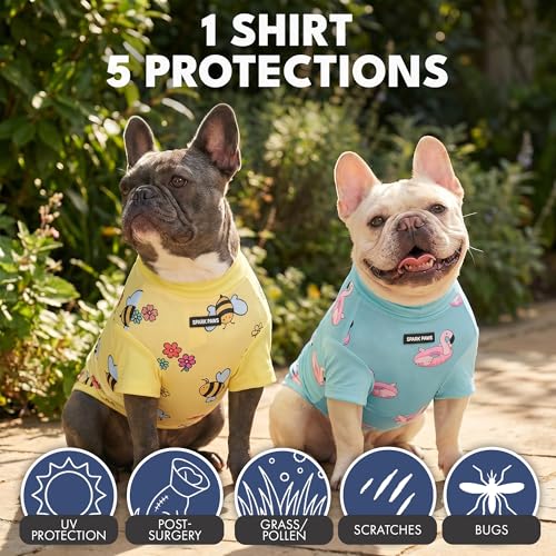 Spark Paws Sunblock Dog T-Shirt, SPF30 Protection, Lightweight Breathable Quick Dry for Dogs with Sensitive Skin - Bees & Flamingo (Set of 2) - Size M - color: Bees & Flamingo, size: M: 10-15lbs