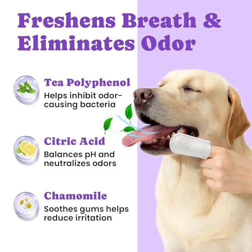 No-Rinse Dog Dental Care Wipes, Cat & Dog tooth brushing kit, Dog Wipes for Pet & Cat Teeth Cleaning, Dog toothbrush Finger Dental Wipes to Remove Plaque & Tartar, Disposable Dog Wipes - 50 Count - color: 1.Dental - Unscented, size: 50 Ct