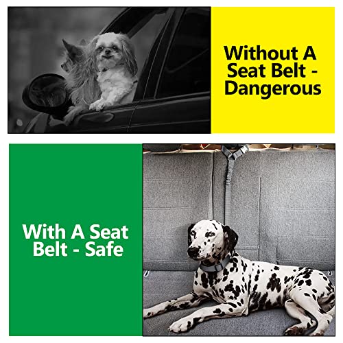 Plutus Pet Dog Seat Belt for Car Headrest, Reflective and Adjustable Restraint with Elastic Bungee for Safety, Vehicle Seatbelt Harness for Small Medium Large Dogs and Cats - color: Gray