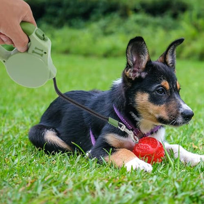 Retractable Dog Leash 3 Meter Automatic Expandable Nylon Tape Leash with Brake Lock for Small to Medium Dogs Outdoor Walking and Puppy