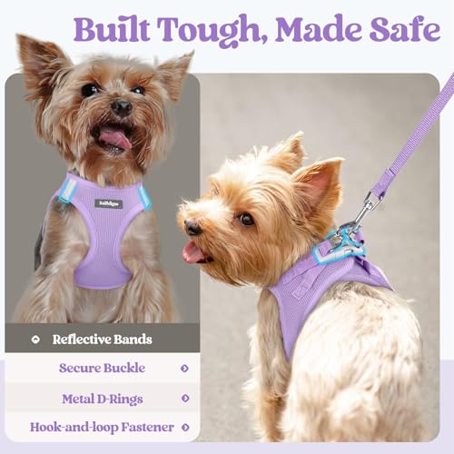 rabbitgoo Dog Harness Small Sized and Leash Set, Step in Soft Light Puppy Vest, Breathable Mesh Pet Harness, Reflective for Safe Easy Walking, Light Purple XXXS - color: Light Purple, size: Xxxs (chest: 10.8 - 11.8")