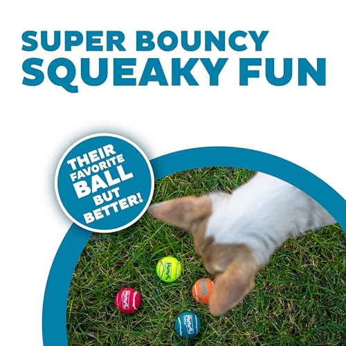 Outward Hound Squeaker Ballz – Squeaky Tiny Tennis Balls for Small Dogs Under 15 lbs, Fetch & Training, X-Small (1.5"), 4-Pack - color: Multi Squeaker Balls, size: X-Small, style: 4-Pack