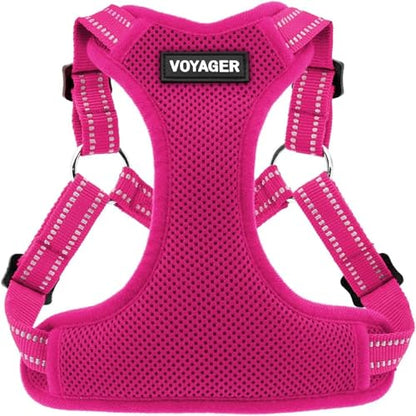 Best Pet Supplies Voyager Adjustable Step-in Flex Breathable Mesh Dog Harness for Small Medium Large Dogs (Fuchsia), L - color: Harness (Fuchsia), size: L