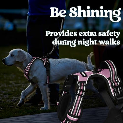 rabbitgoo Dog Harness Small Sized, No Pull Easy On & Off with 3 Buckles Pet Harness, Adjustable Soft Walking Vest with 2 Clips and Handle, Reflective for Small Dogs, Pink, S - color: Pink, size: Small