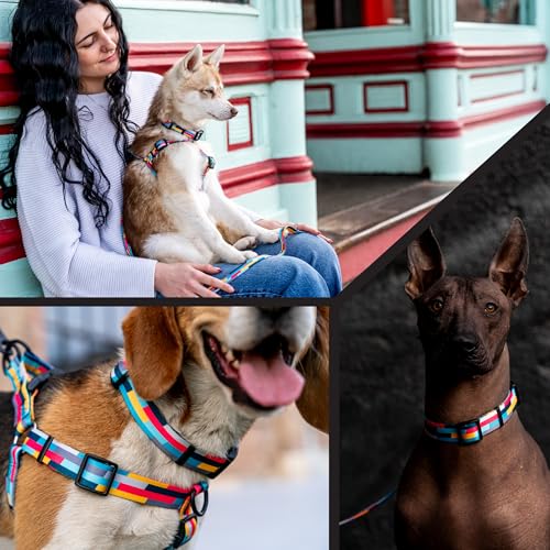Wolfgang Heavy Duty, Adjustable Dog Collar with Quick Release Nylon Buckle for Walking & Training, Mixtape Print, Small - color: MixTape Print, size: Small (5/8 Inch x 8-12 Inch)