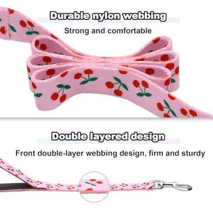 5ft Dog Leash with Two Padded Handles, Heavy Duty Strong Nylon Pet Leash with Soft Neoprene Handle for Small Medium Large Dogs, Cherry - color: Cherry, size: 1 in x 5 ft
