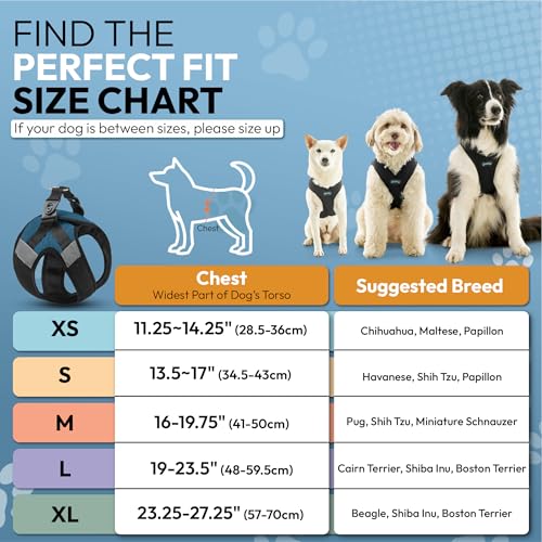 Gooby Soft Mesh X Step in, Blue, Large - color: Blue, size: Large