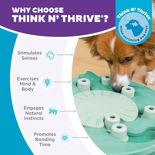 Outward Hound by Nina Ottosson Dog Worker Treat Puzzle Enrichment Toy, Level 3 Advanced, Green - color: Dog Worker (Green)
