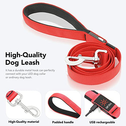 Colaseeme LED Light Up Dog Leash, USB Rechargeable (4FT,Red) | Glow in dark, reflective, USB-C rechargeable, bright LED for night safety, fits small to large dogs - color: Red, size: 4FT