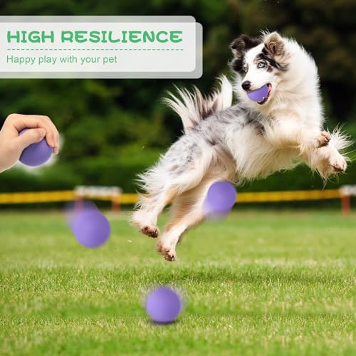Hiboom 15 Pack Natural Rubber Tennis Balls for Dogs Catching Pet Dog Balls for Fetch Training 2.4 Inch Interactive High Bounce and Floatable pet Toy for Park Beach Gift(Purple) - color: Purple