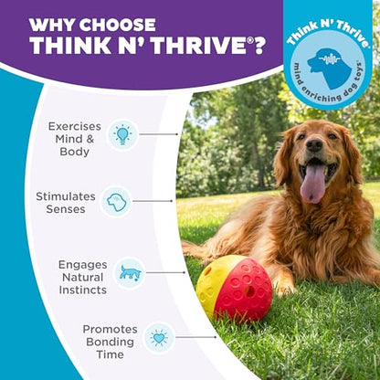 Outward Hound by Nina Ottosson Treat Tumble – Interactive Food-Dispensing Dog Puzzle Ball, Level 1 Beginner, Large, 5.8" - color: Treat Tumble (Large Red)