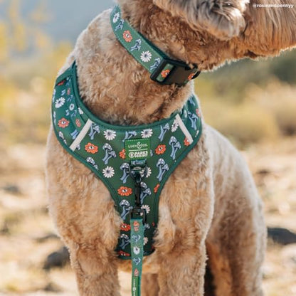 Lucy & Co. x Parks Project Power to the Parks No-Pull Dog Harness, Adjustable Front Clip Harness with Comfort Padding, X-Large - color: Power to the Parks, size: X-Large