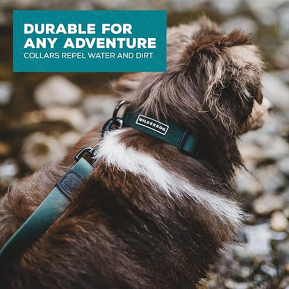 Wilderdog Waterproof Dog Collar - Repels Water & Dirt - Small 11"-15" - Cedar - color: Cedar, size: Small
