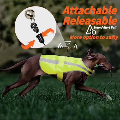 Reflective Dog Vest for Small and Medium Breeds, High Visibility Dog Safety Vest with Removable Bell Keep Safe from Hunting, Training & Cars Accidents(Green,Small) - color: Neon Green, size: S