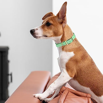 Viper Biothane Heavy Duty Waterproof Dog Collar Strong Coated Nylon Webbing w/Solid Brass Hardware Odor-Proof Easy to Clean High Performance Fits Small Medium or Large Dogs, Sea Foam Green