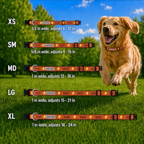 THE WORTHY DOG Spring Holiday Chick Magnet Dog Collar – Durable Nylon, Woven Ribbon, Quick-Release Buckle, Nickel D-Ring – Red, Small - color: Chick Magnet - Red, size: Small