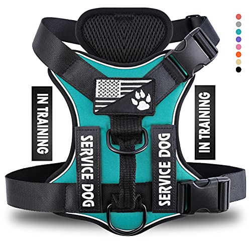 Service Dog Harness, Reflective Dog Vest Harness with 5 PCS Patches, Adjustable Soft Oxford Pet Harness, Inner Layer Mesh, Easy to Control for Dogs - color: Turquoise, size: X-Small (Pack of 1)