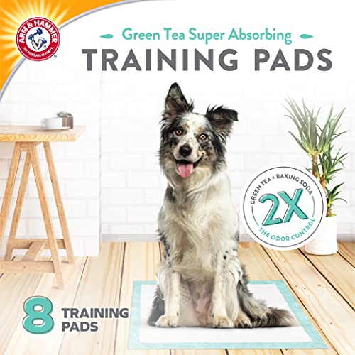 Arm & Hammer Green Tea Pet Training Pads, 8 Count, Super Absorbent with Green Tea and Baking Soda, 2X Odor Control, 5-Layer Leak-Proof Construction, 22.5 x 22.5 Inch - size: 22.5" x 22.5" 8 Count
