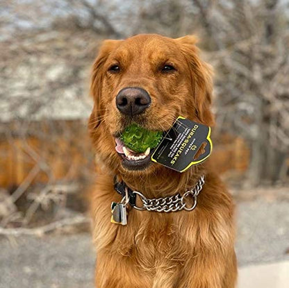 Hyper Pet DuraSqueak Dog Ball Toy, Interactive Dog Toys that Float and Squeaks for Playing, Fetching and Retrieving-Great Alternative to Traditional Tennis Balls Green 2.5 Inch - size: 2.5 Inch
