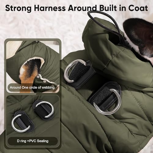 Vecomfy Fleece Lining Dog Hoodie with Harness Built in,Extra Warm Small Dog Jacket in Winter Puppy Coats with Drawstring Hooded,Green XS - color: Green(Harness Built in), size: X-Small (Pack of 1)