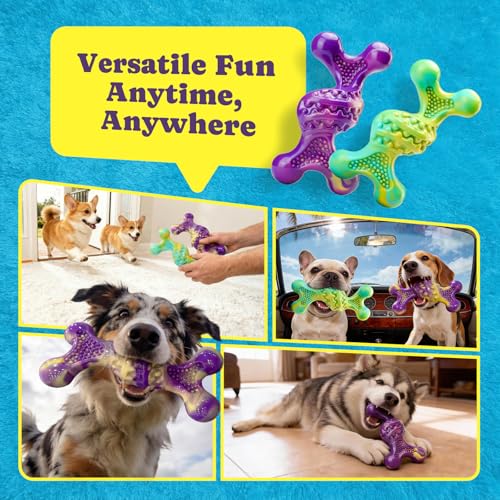 Kseroo Indestructible Dog Toy : 2 Pack Dog Toys for Aggressive Chewers, Bacon Flavor Nylon Hard Dog Chew Toys, Tough Dog Toys for Medium & Large Breeds 30-120 lbs, Durable Dog Toys to Keep Them Busy
