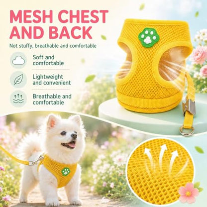 Dog Harness Small Sized and Leash Set, Step in Soft Light Puppy Vest, Breathable Mesh Pet Harness, Adjustable Pet Puppy Harness, Easy Walk Dog Harness, S: Chest 7.8-13.7" - color: Yellow, size: S: Chest 7.8-13.7" Leash 3.8 FT