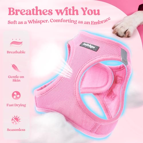 rabbitgoo Dog Harness Small Sized and Leash Set, Step in Soft Light Puppy Vest, Breathable Mesh Pet Harness, Reflective for Safe Easy Walking, Light Pink XXXS - color: Light Pink, size: Xxxs (chest: 10.8 - 11.8")