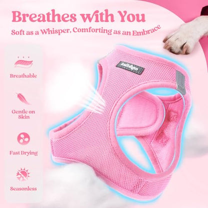 rabbitgoo Dog Harness Small Sized and Leash Set, Step in Soft Light Puppy Vest, Breathable Mesh Pet Harness, Reflective for Safe Easy Walking, Light Pink XXXS - color: Light Pink, size: Xxxs (chest: 10.8 - 11.8")