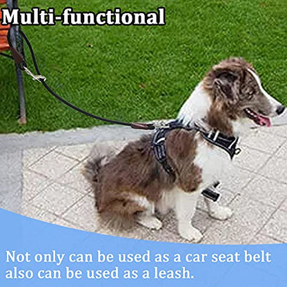 MayPaw Training Tie Down- Short Dog Tether Indoor- Strong Rope Dog Car Leash Seat Belt- 5 Sizes Vehicle Safety Restraint Lead for Small Medium Large Dogs, 33 Inch - size: 33 Inch/84 CM