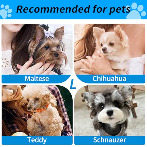 Wakytu Expandable Pet Carrier for Dogs & Cats, Large Travel Bag with 5 Mesh Windows, 2 Entrances, Locking Zippers & Padded Straps,L - size: 19.3"L x 13.0"W x 13.0"H