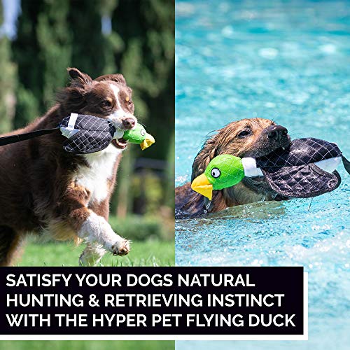 Hyper Pet Flying Series Interactive Dog Toys - Large Duck Slingshot Fetching Dog Toy - Floats on Water | Launch it soaring across the yard or water for splashy retrieval games, interactive bird design keeps pups running daily - size: Large, style: Duck Sl