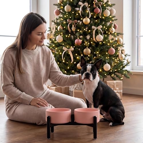 Raised Ceramic Dog Bowl Set - Elevated Double Dishes with Stainless Steel Stand - Food and Water Bowls for Small to Medium Dogs - Each Holds 3.5 Cups (29.57 fl oz) - Grey - color: Light Gray, size: 2 Bowls - 3.5 Cups Each