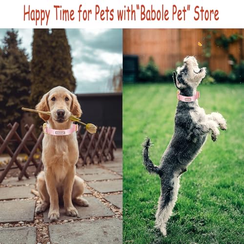 Nylon Dog Collar - Adjustable Pink Soft Webbing Dog Collars for Small Medium Large Dogs Boy Girl Puppy Collar with Safety Metal Buckle S - color: Nylon-Pink, size: S