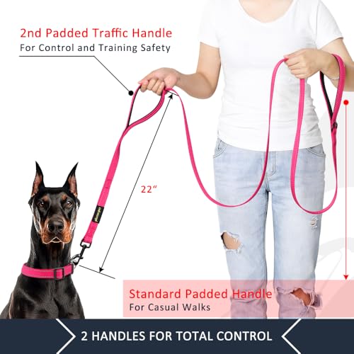 Plutus Pet Double Handle Dog Leash 6ft Long, Padded 2 Handle, Heavy Duty, Reflective Training Leash for Medium Large Dogs, Dual Handle Lead (Pink) - color: Pink, size: 6 FT