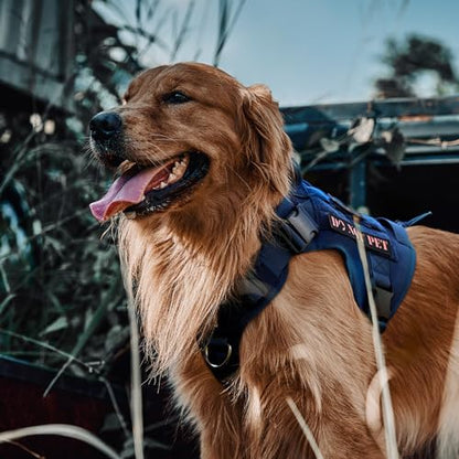 OneTigris Tactical Dog Harness Vest,No-Pull Service Dog Vest with Hook & Loop Panels,Adjustable Dog Vest Harness for Walking Hiking Training(Blue,S) - color: Blue, size: S