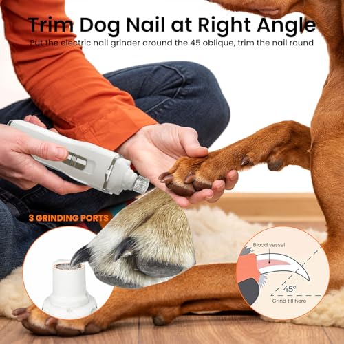 Tife Dog Nail Grinder,2 Speed Electric Rechargeable Dog Nail Trimmer,Quiet and Low-Vibration Pet Nail Grinder,Painless Dog&Cat Grooming Supplies for Large Medium Small Pets - color: White-525