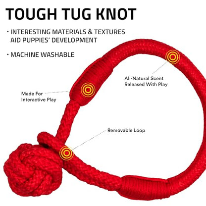 Playology Dog Toys | Tough Tug Knot for Puppies and Young Dogs | Beef Scented Medium Chew Toy Tug Rope | Tug of War Puppy Essentials - size: Medium, style: Beef