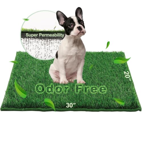 HQ4US 4LEGS Artificial Grass, Dog Pee Grass Pads for Dogs Potty, Odor Free Fake Grass for Dogs Medium 30’’×20’’ with Countless Drainage Holes, Dog Potty Grass Hemmed Edge Realistic - size: M for Dog＜ 26" Length